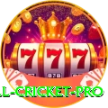 all cricket Mobile Premium