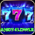 andy flower VIP Pro v3.6.1