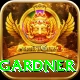 ashleigh gardner Gold v4.1.3