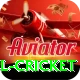 bbl cricket Elite Pro v2.3.2
