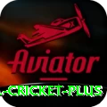 bbl cricket Game King v4.2.8