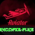 bingopkr Elite v4.9.9