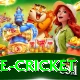 bpl live cricket Max Pro v3.2.5