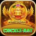 cricket bat Master Pro v5.3.4