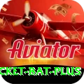 cricket bat Royal v2.1.0