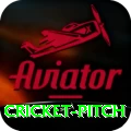 cricket pitch Plus Edition v4.5.9