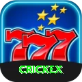 crickex Plus Pro vv5.7.5