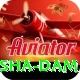 diamer bhasha dam Pro Edition v5.1.1