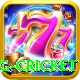 eng cricket Turbo v2.6.2