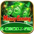 fastest ball in cricket Mega Jackpot