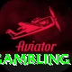 gambling Pro Edition v5.3.1