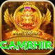 gautam gambhir VIP Edition v3.6.2