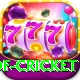god of cricket Premium Plus v4.5.0