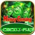 god of cricket Casino Official v1.0.2