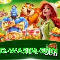 imad wasim spin Master v3.4.9