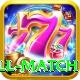 ind all match Master Pro v5.3.5