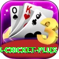 india pakistan cricket Extreme v1.7.7