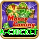 india sri lanka cricket VIP Edition v3.2.6