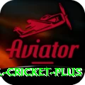 international cricket App Plus v4.7.1