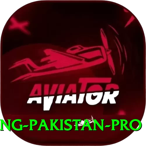 IPL Betting Pakistan Live Casino Prime - 2
