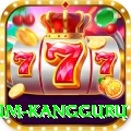 kusum kangguru Pro Edition v3.4.2