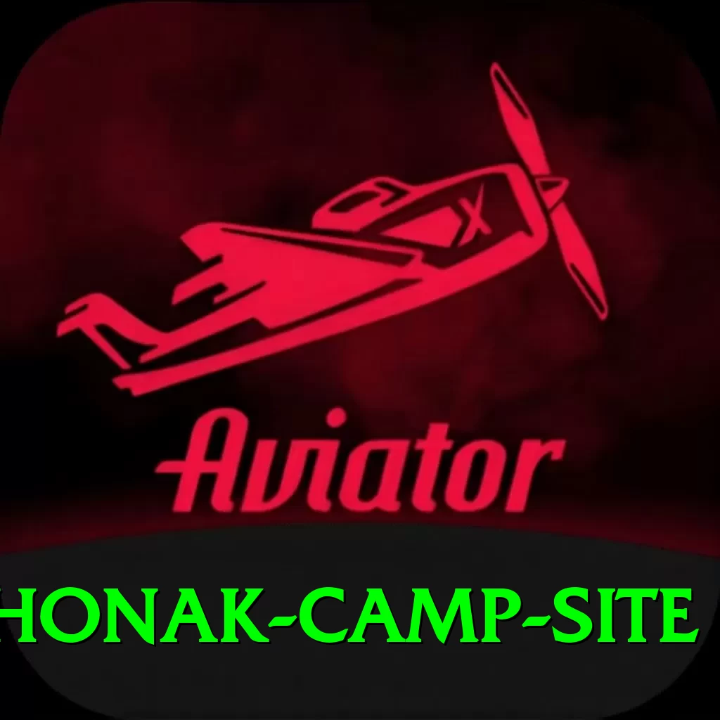 lhonak camp site Pro1 v5.8.3 - 2