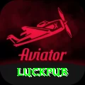 luckpub Apps (Tools & Injectors) VIP v2.4.1