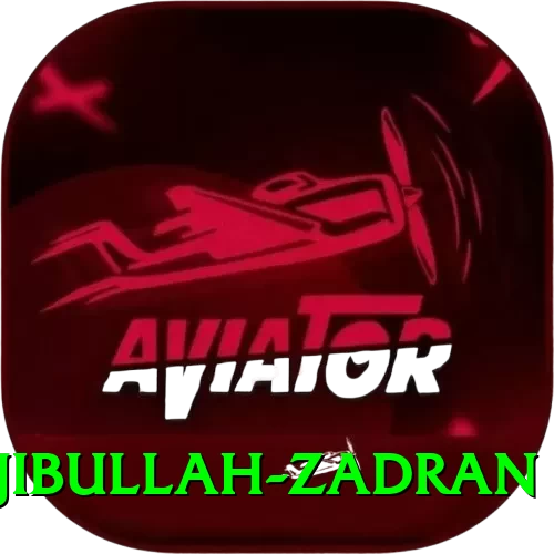 najibullah zadran Pro Edition v5.9.5 - 2
