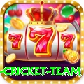 netherlands cricket team VIP Pro v3.0.8