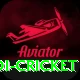 odi cricket Deluxe Pro v4.0.7