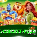 one cricket Gaming Plus v3.0.6