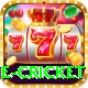 online cricket VIP Pro v5.1.7