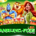 online gambling - Live Premium
