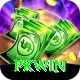 PKWin Ultimate v2.1.1