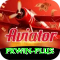 pkwin Pro