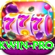pkwin Premium Edition v2.1.7