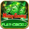 play cricket Max v1.5.2