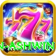 ravichandran ashwin Pro1 v1.5.6
