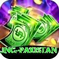 responsible gambling pakistan Apps (Tools & Injectors) Premium v2.9.8