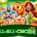 risk free bet cricket Pro1 v2.0.1