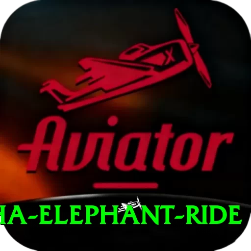 sauraha elephant ride Pro Edition v5.8.4 - 2