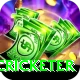 shahrukh khan cricketer Deluxe Edition v1.1.4
