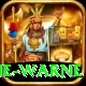 shane warne Pro Max v4.6.3