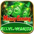 steve waugh Gold Pro v2.8.4