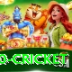 t20 cricket Games (Casino & Earning) Deluxe v5.0.2