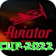 t20 world cup 2022 Premium v4.3.2