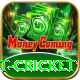 test cricket Master v2.3.2