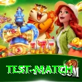 test match Max Pro v2.6.7