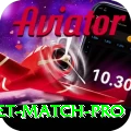 to day cricket match Slots Premium v3.6.9