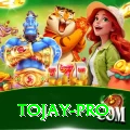 tojay Games (Casino & Earning) Max v4.4.8